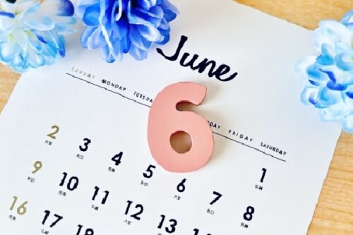 6 月の診察スケジュールのご案内＜矯正診療日＞