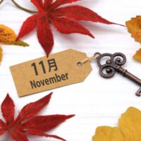 11月診察スケジュール